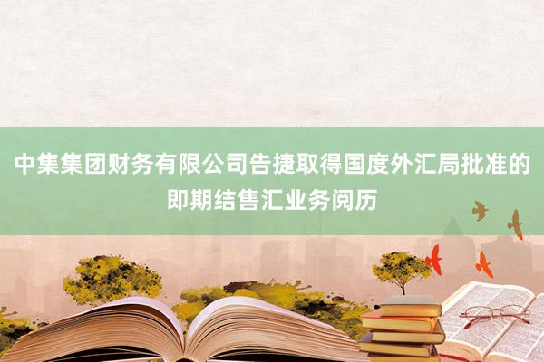 中集集团财务有限公司告捷取得国度外汇局批准的即期结售汇业务阅历
